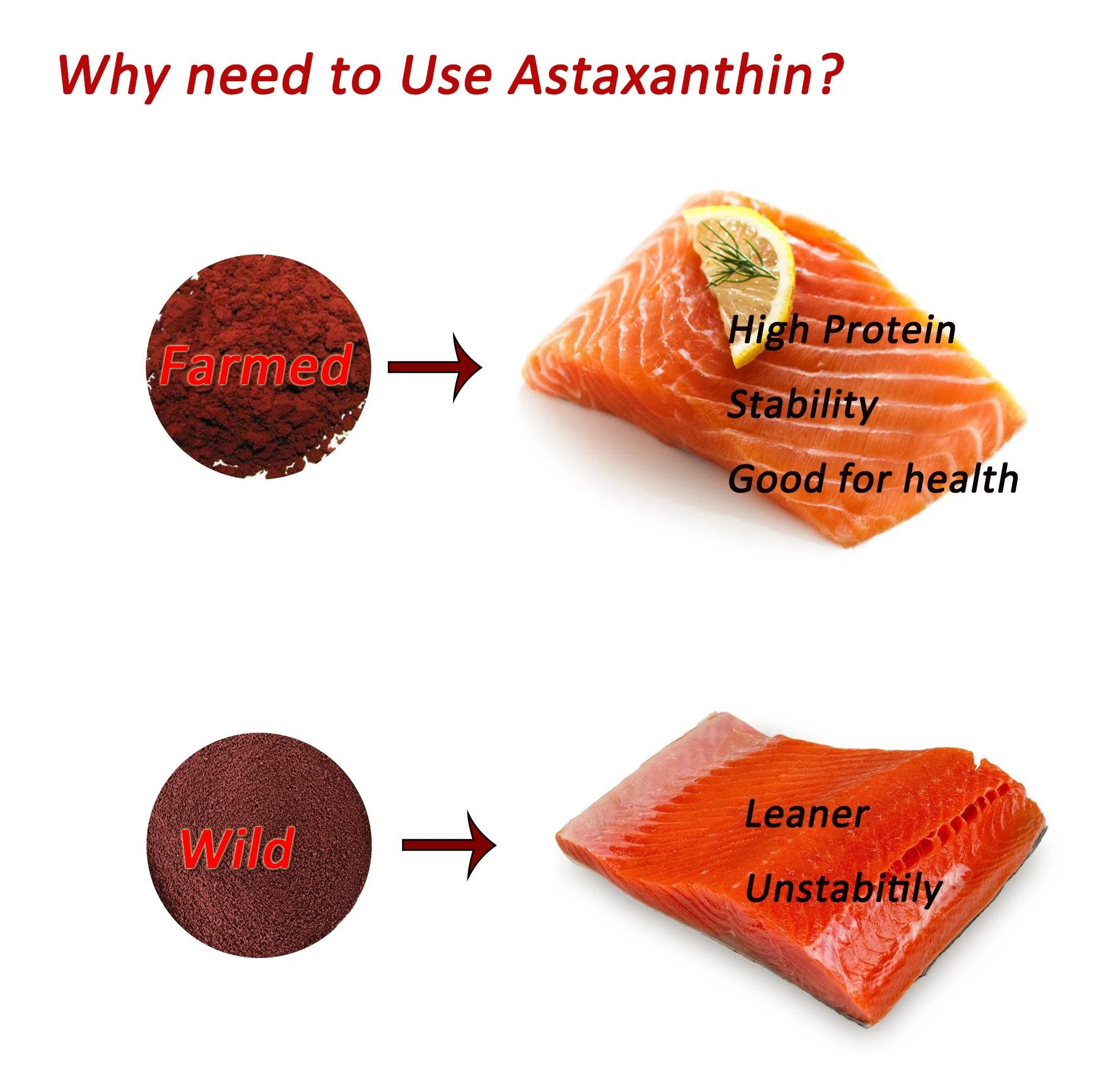 Astaxanthin （Feed grade）