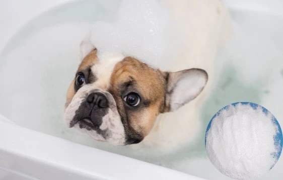 Salicylic acid pet care & grooming ingredients supplier