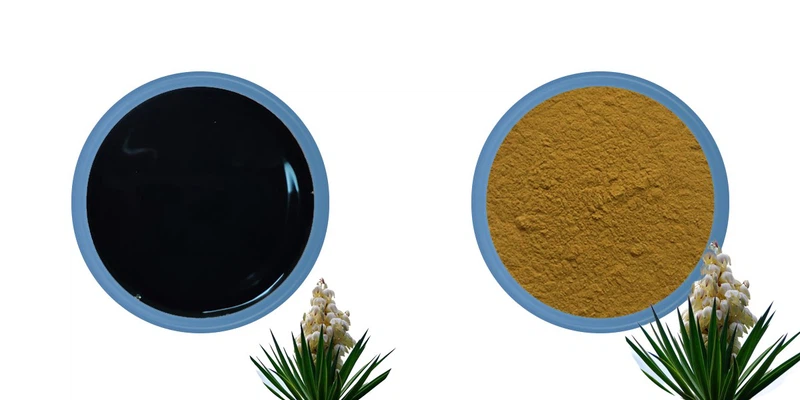 Yucca Ekstrakt Pulver Liquid powder supplier Yucca Ekstrakt Pulver Liquid powder supplier