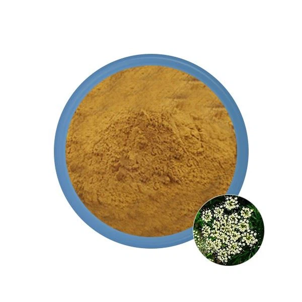 Cnidium Fruit Extract 10%