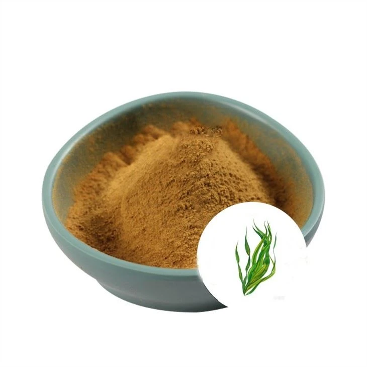 Seaweed extract powder Suppliers, Manufacturers, Factory - Wholesale Price - hjagrifeed