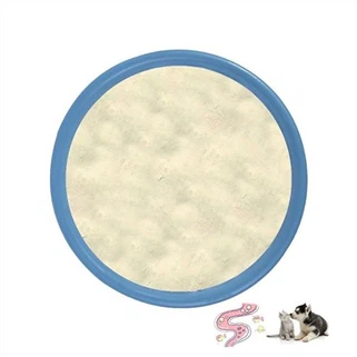 프로바이오틱스 파우더