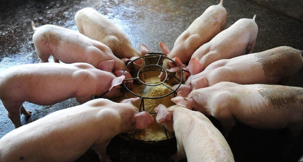 news-600-320 news-600-320